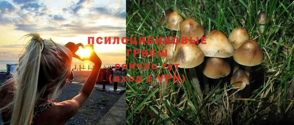 прущие крисы Алексин