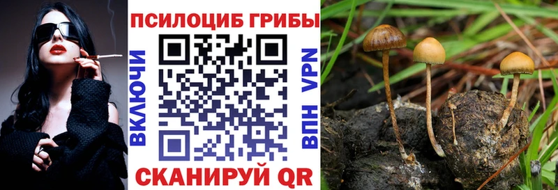 Галлюциногенные грибы мицелий  где купить наркоту  hydra зеркало  Сим 
